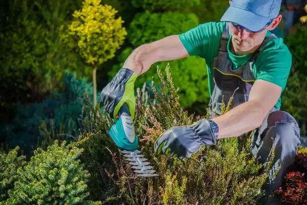landscaping services Negaunee